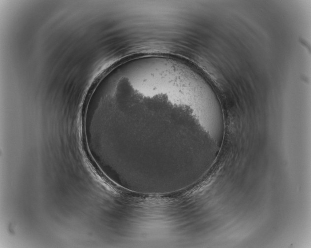 X0000098010840200803281310