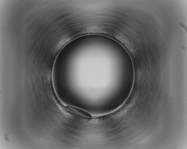 X0000098010841200803281310