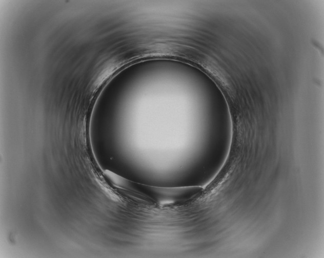 X0000098010842200803281310