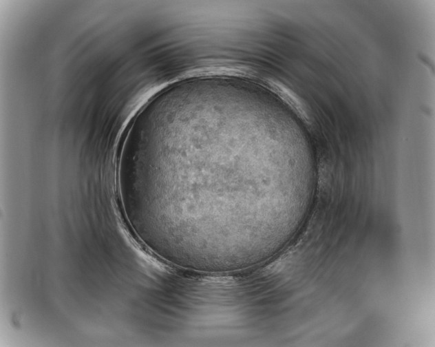 X0000098010844200803281310