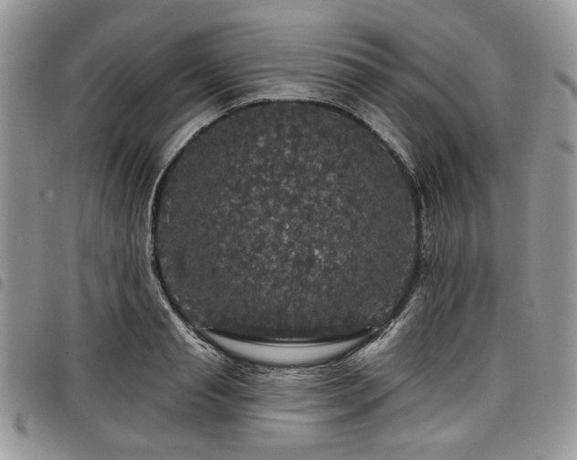 X0000098010845200803281310