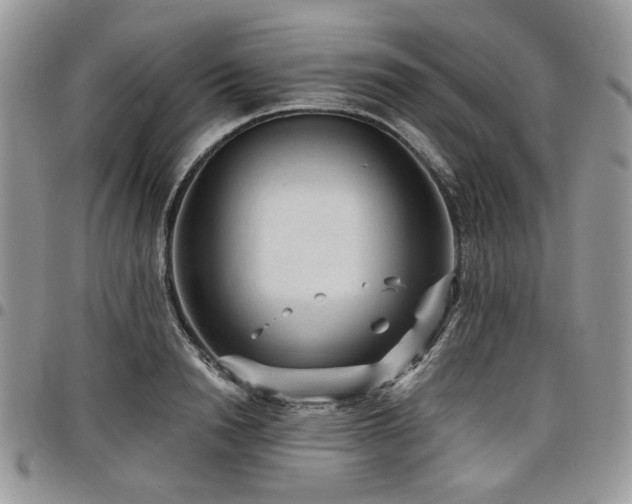 X0000098010846200803281310