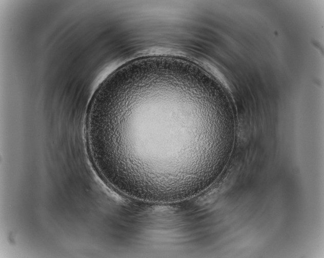 X0000098010847200803281310