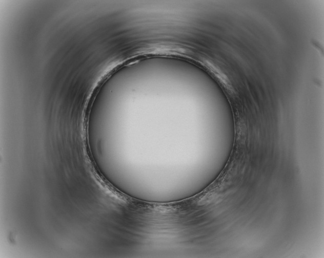 X0000098010848200803281310