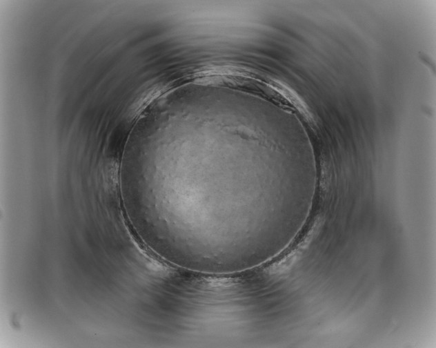 X0000098010849200803281310