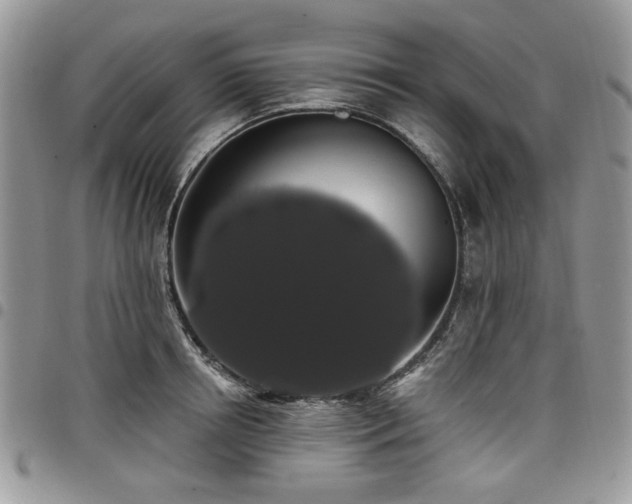 X0000098010850200803281310