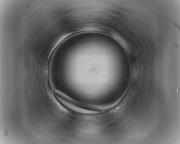 X0000098010852200803281310