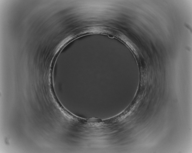 X0000098010853200803281310