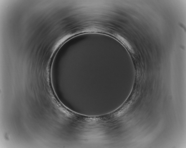 X0000098010854200803281310