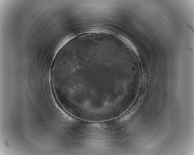 X0000098010855200803281310