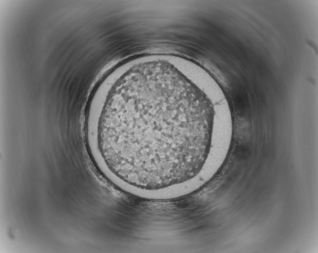 X0000098010856200803281310