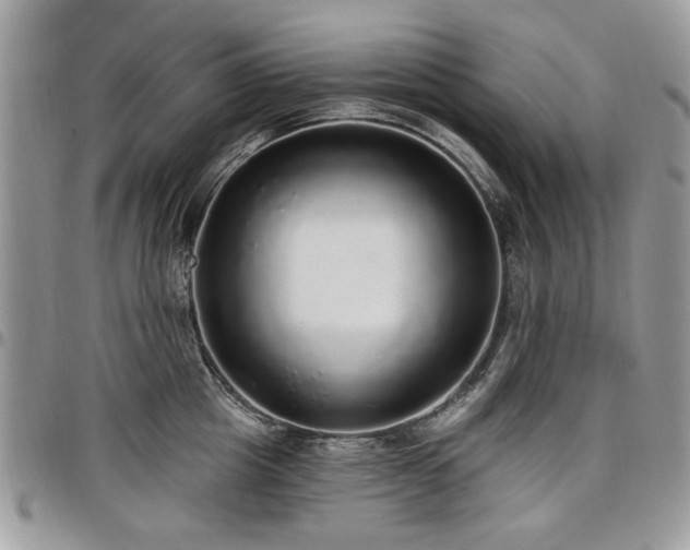 X0000098010857200803281310