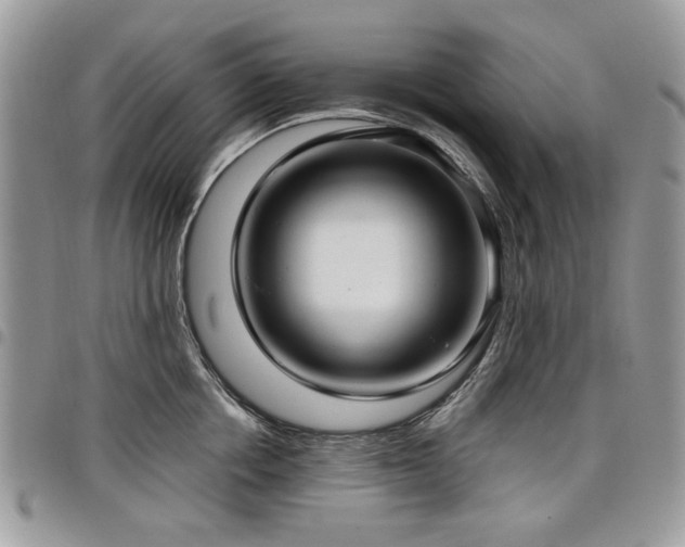 X0000098010858200803281310