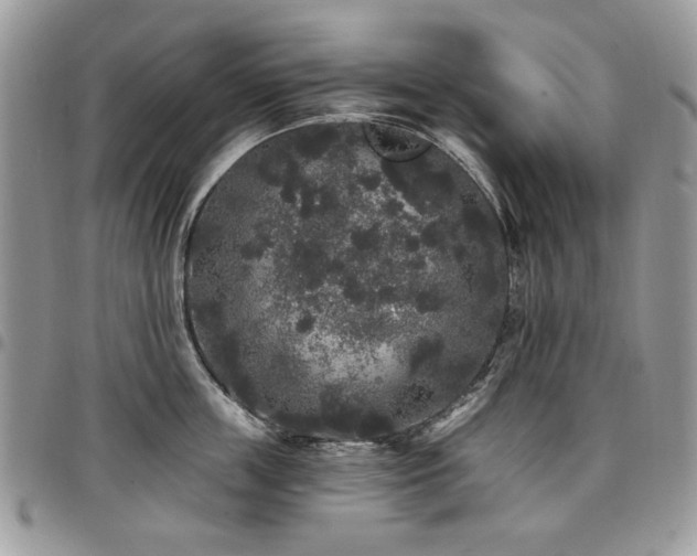 X0000098010859200803281310