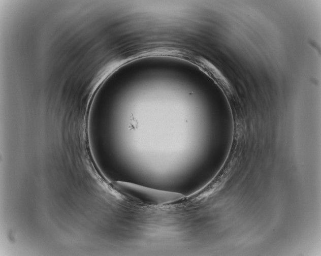 X0000098010860200803281310