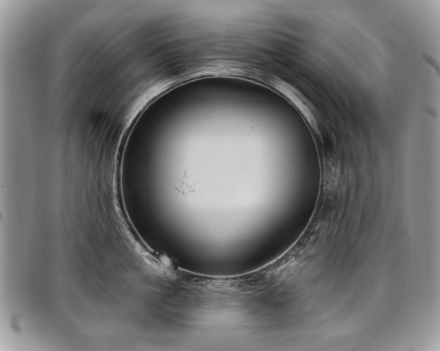 X0000098010861200803281310