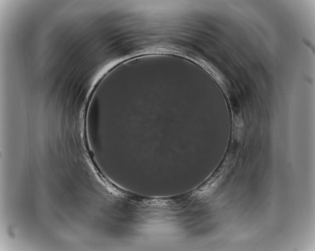 X0000098010862200803281310