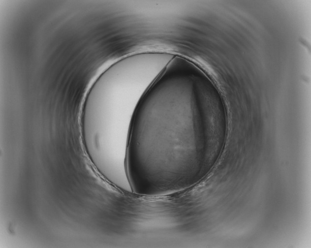 X0000098010864200803281311