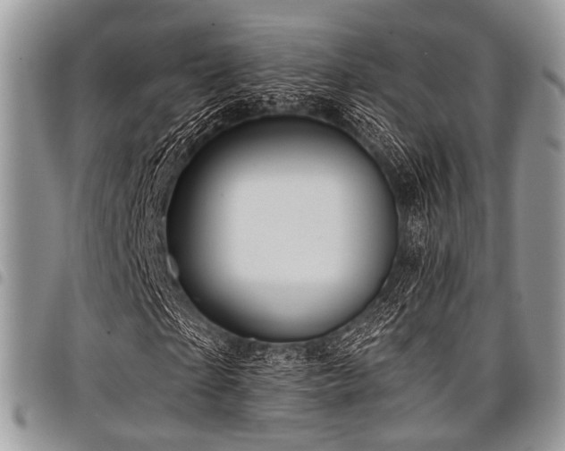 X0000098010865200803281310