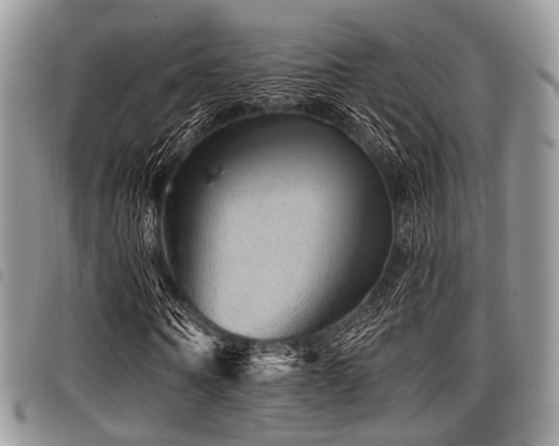 X0000098010866200803281310