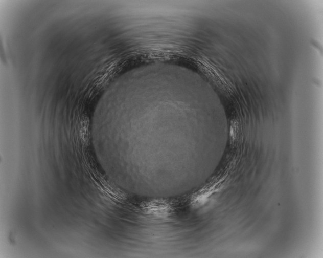 X0000098010867200803281310