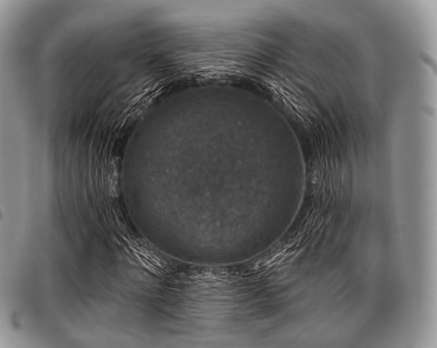 X0000098010868200803281310