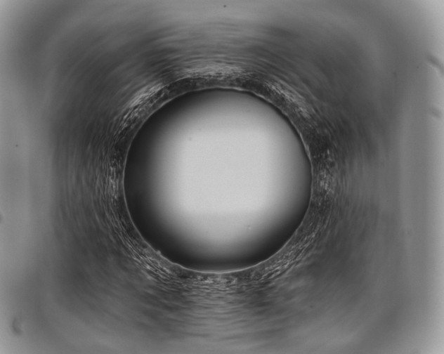 X0000098010869200803281310