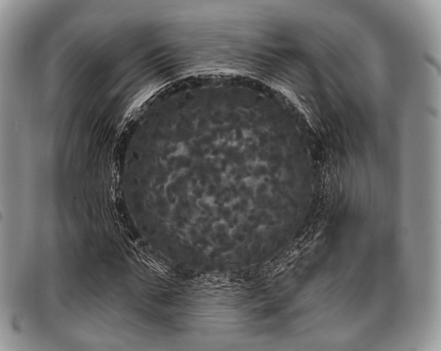 X0000098010871200803281310