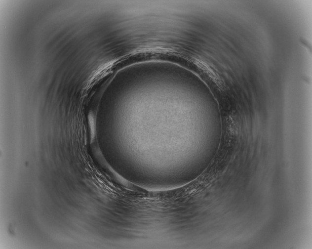 X0000098010872200803281310