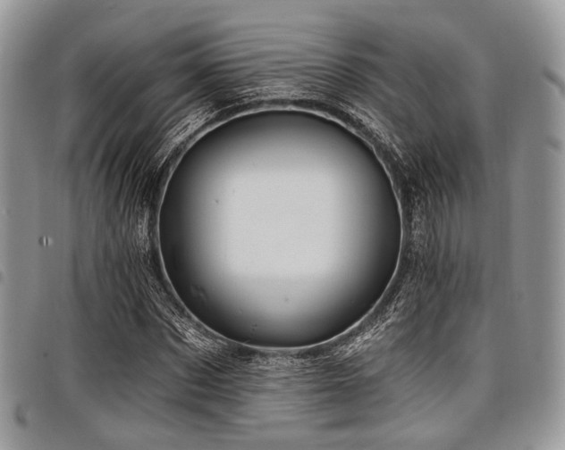 X0000098010873200803281310