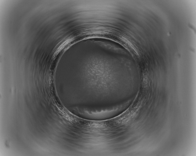 X0000098010874200803281310