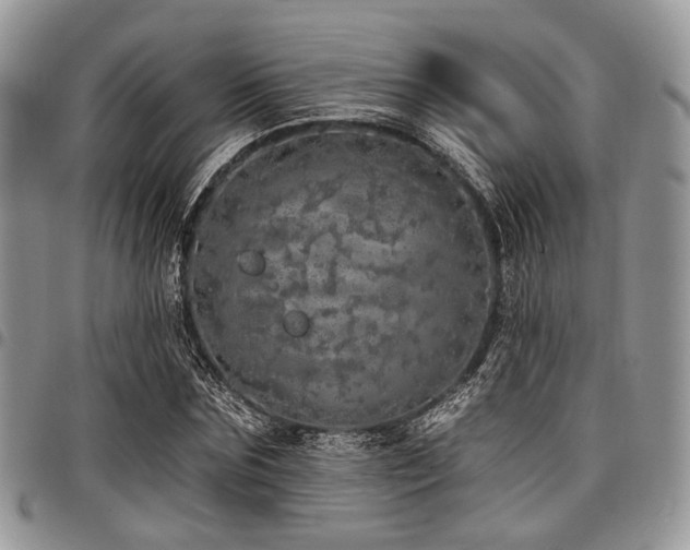 X0000098010875200803281310