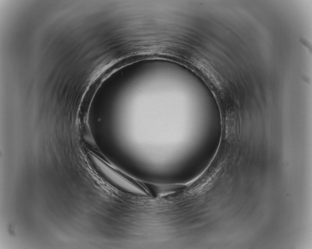 X0000098010876200803281310