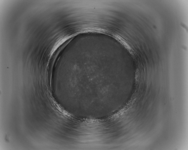 X0000098010877200803281310