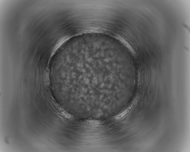 X0000098010878200803281310