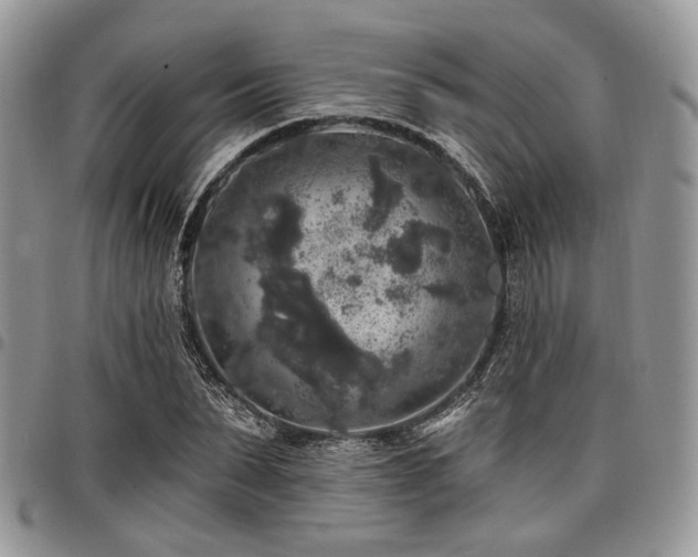 X0000098010879200803281310