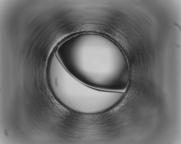 X0000098010880200803281310