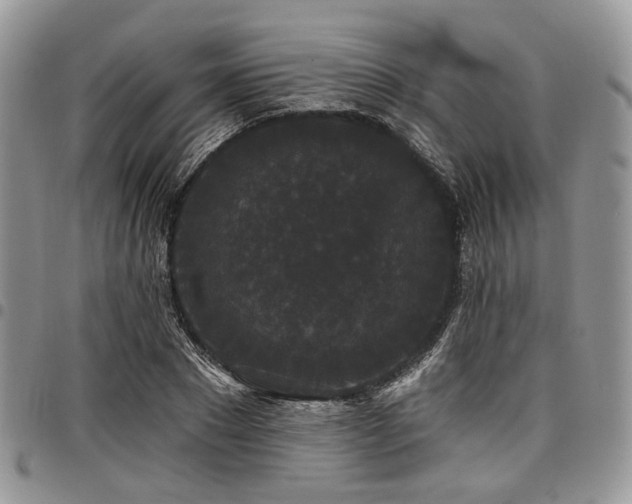 X0000098010881200803281310