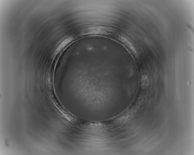 X0000098010882200803281310