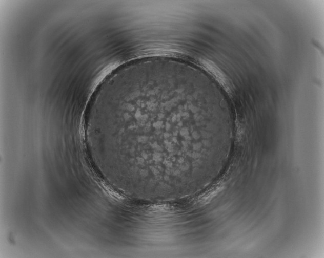 X0000098010883200803281310