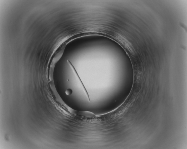 X0000098010884200803281310