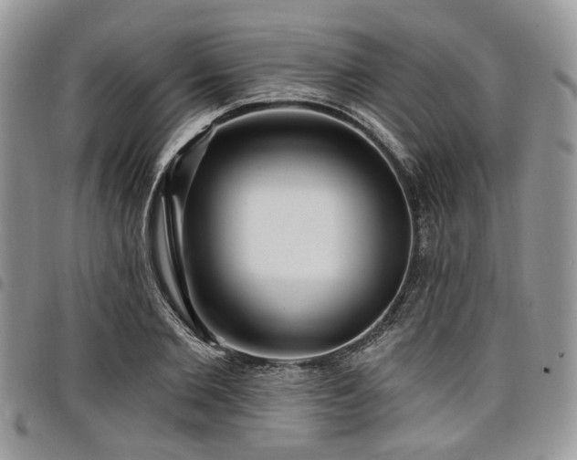 X0000098010885200803281310