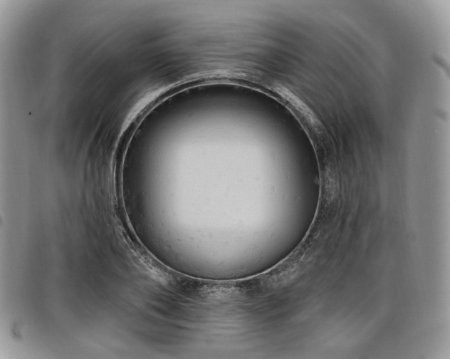 X0000098010886200803281310