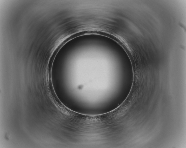 X0000098010887200803281310