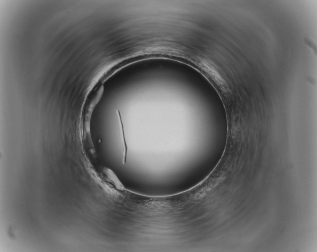 X0000098010888200803281310