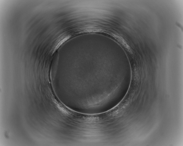 X0000098010889200803281310