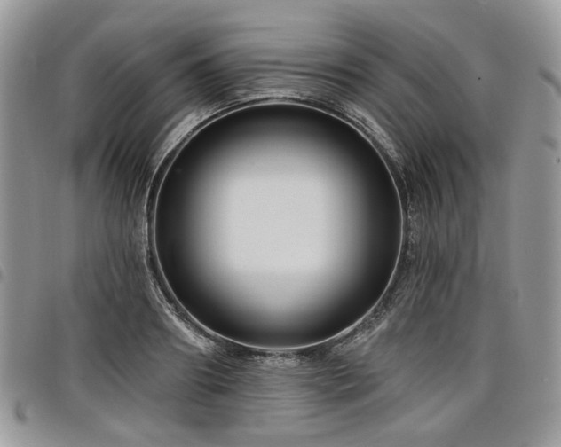 X0000098010890200803281310