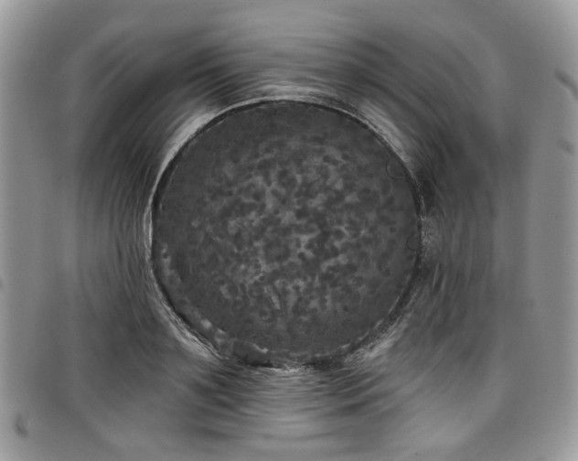 X0000098010891200803281309