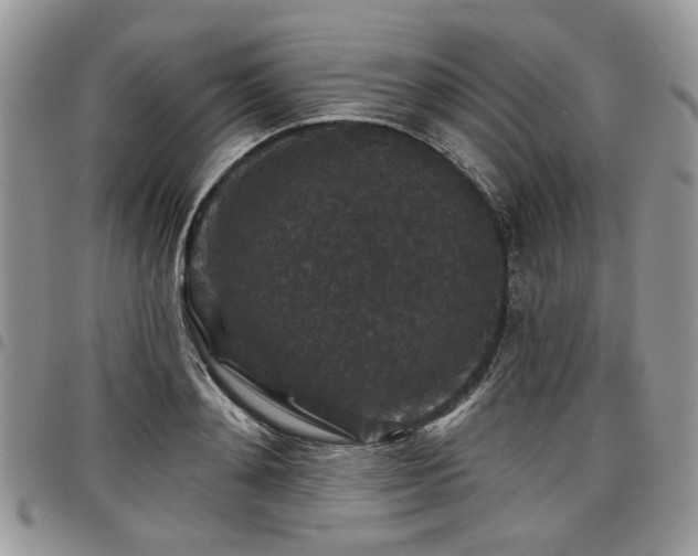 X0000098010892200803281309