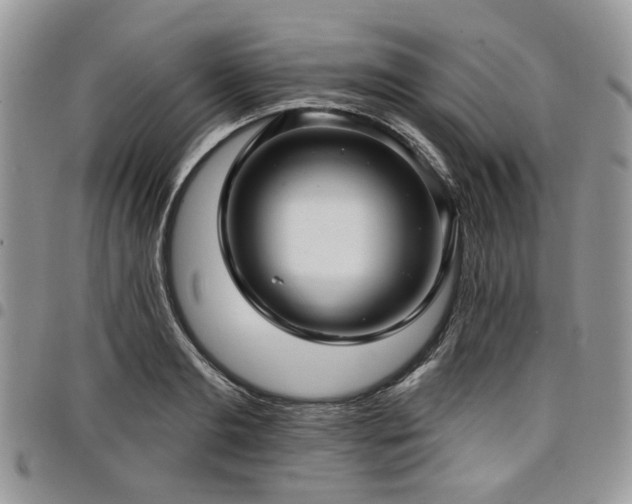 X0000098010893200803281309